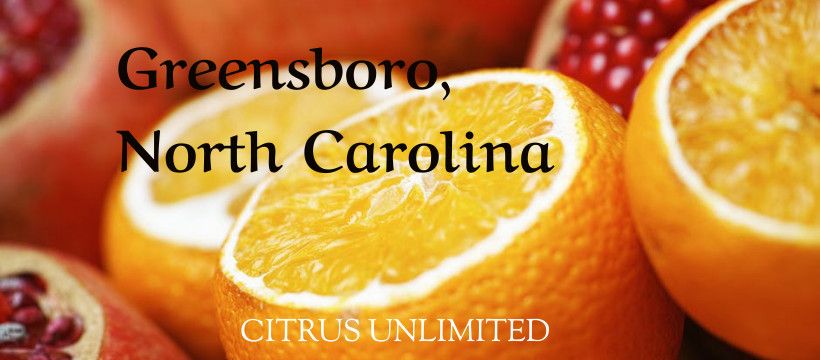 Citrus Sale - Greensboro, NC from 9:00 am - 1:00 pm at Triad Lanes