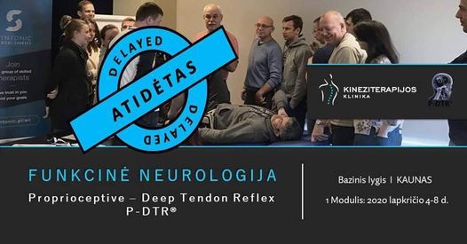 P-Dtr® Funkcinė Neurologija. Bazinis Lygis: 1 Modulis, Kineziterapijos ...