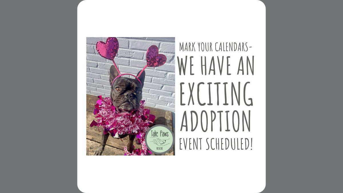 Valentine Day Adoption Event and Kissing Booth