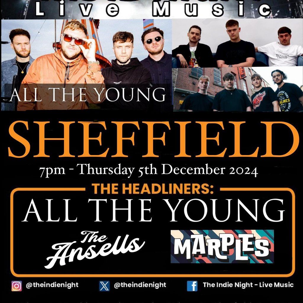 The Indie Night - Sheffield One