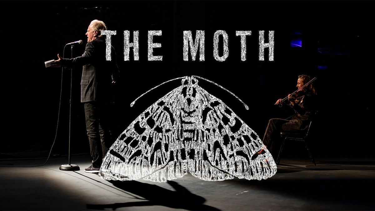 The Moth - Lawrence