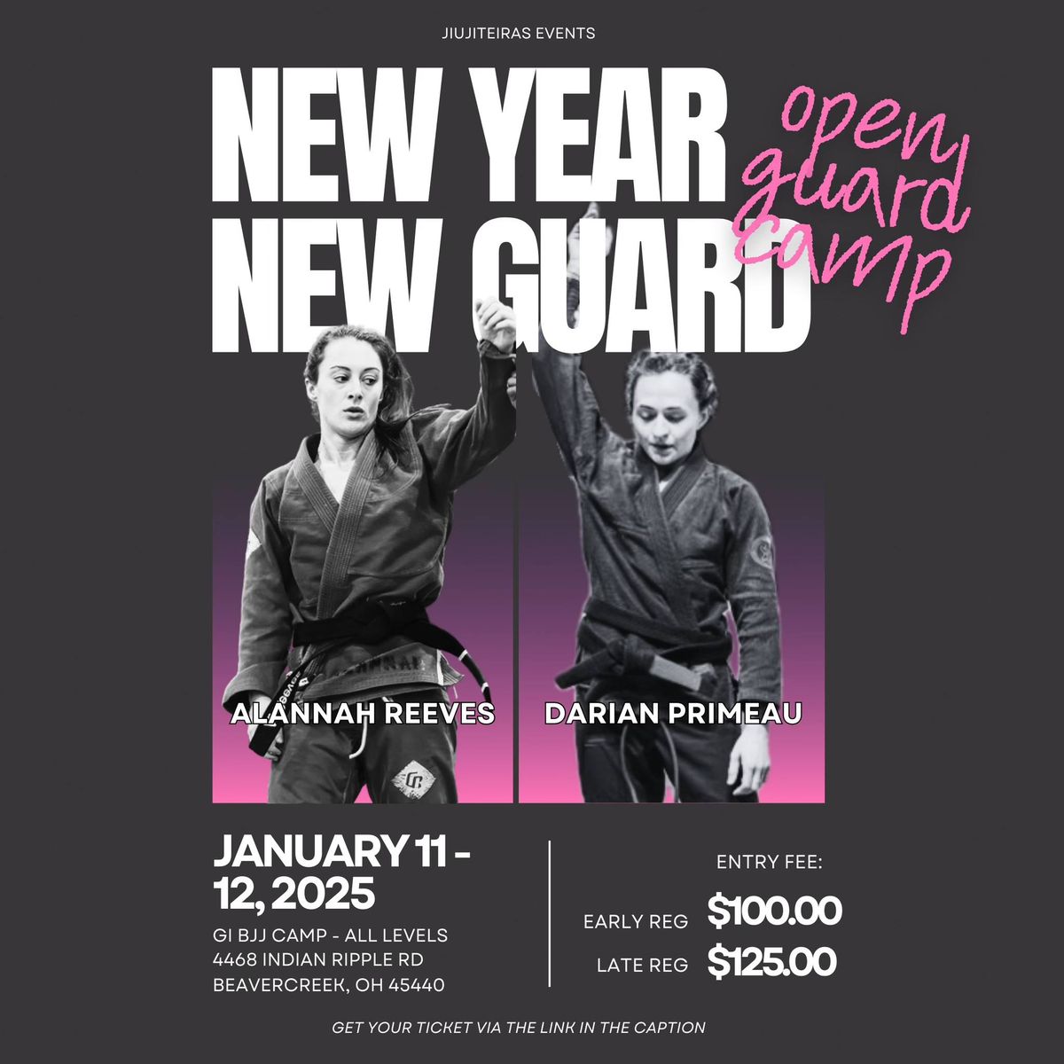 New Year New Guard - Open Guard Camp 