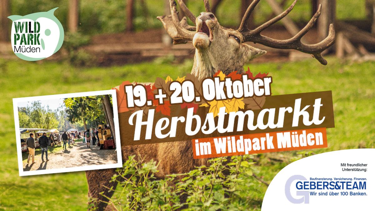 Herbstmarkt im Wildpark M\u00fcden