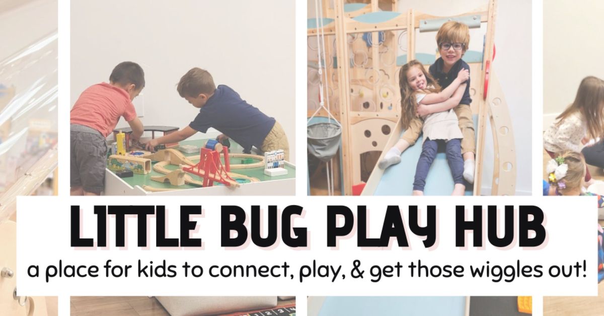 Care-Giver Meet Up at Little Bug Play Hub