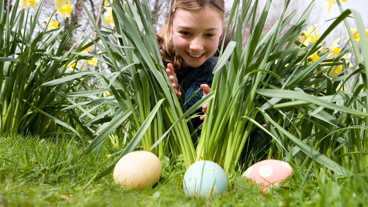 Enchanted Easter Egg Hunt in the Woods