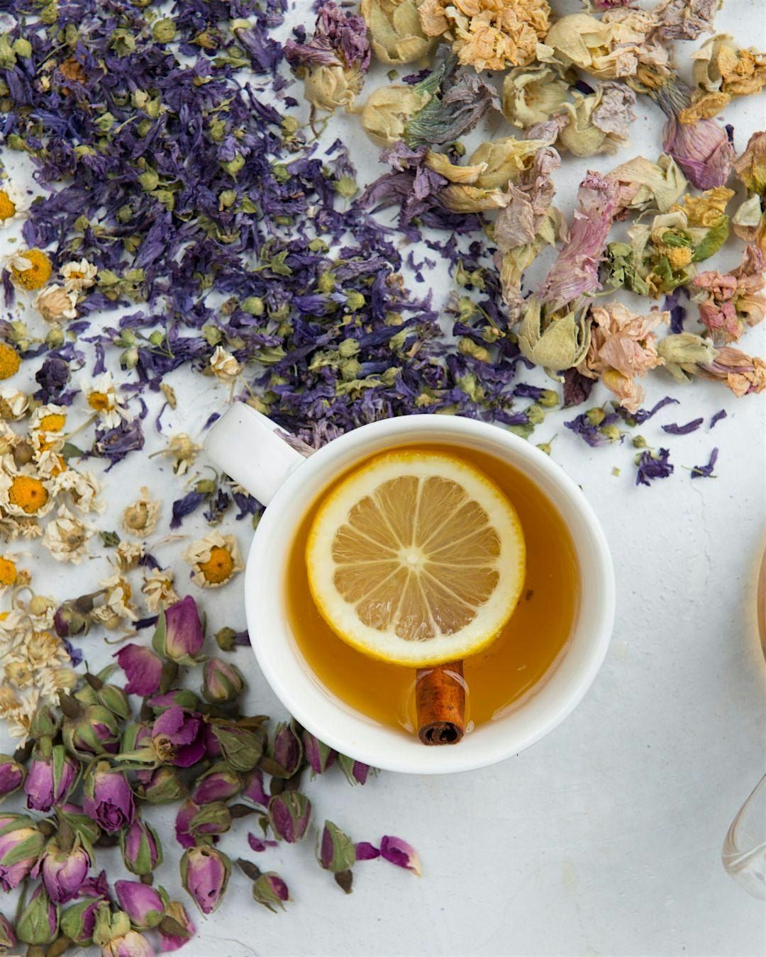 Healing Through Herbs: The Art of Tea Blending