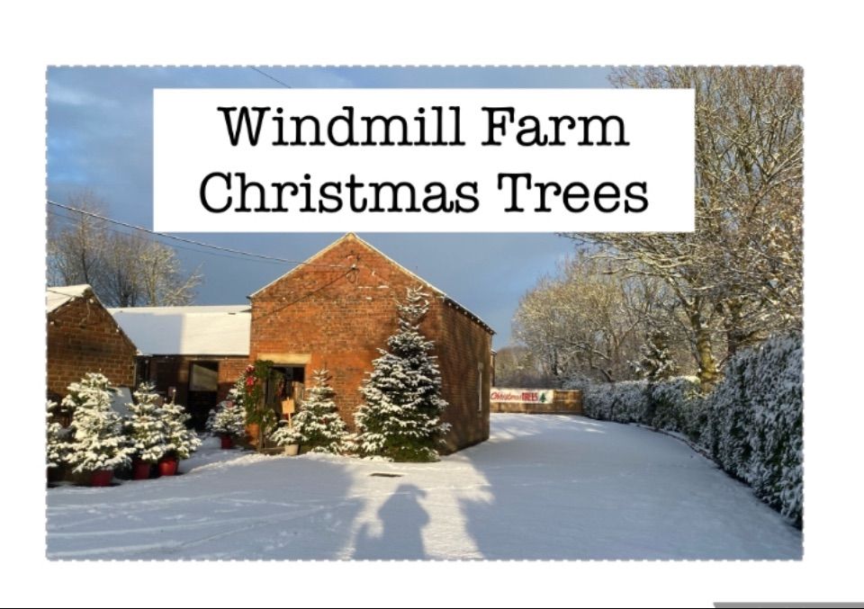 Windmill Farm opens for Christmas 20 24