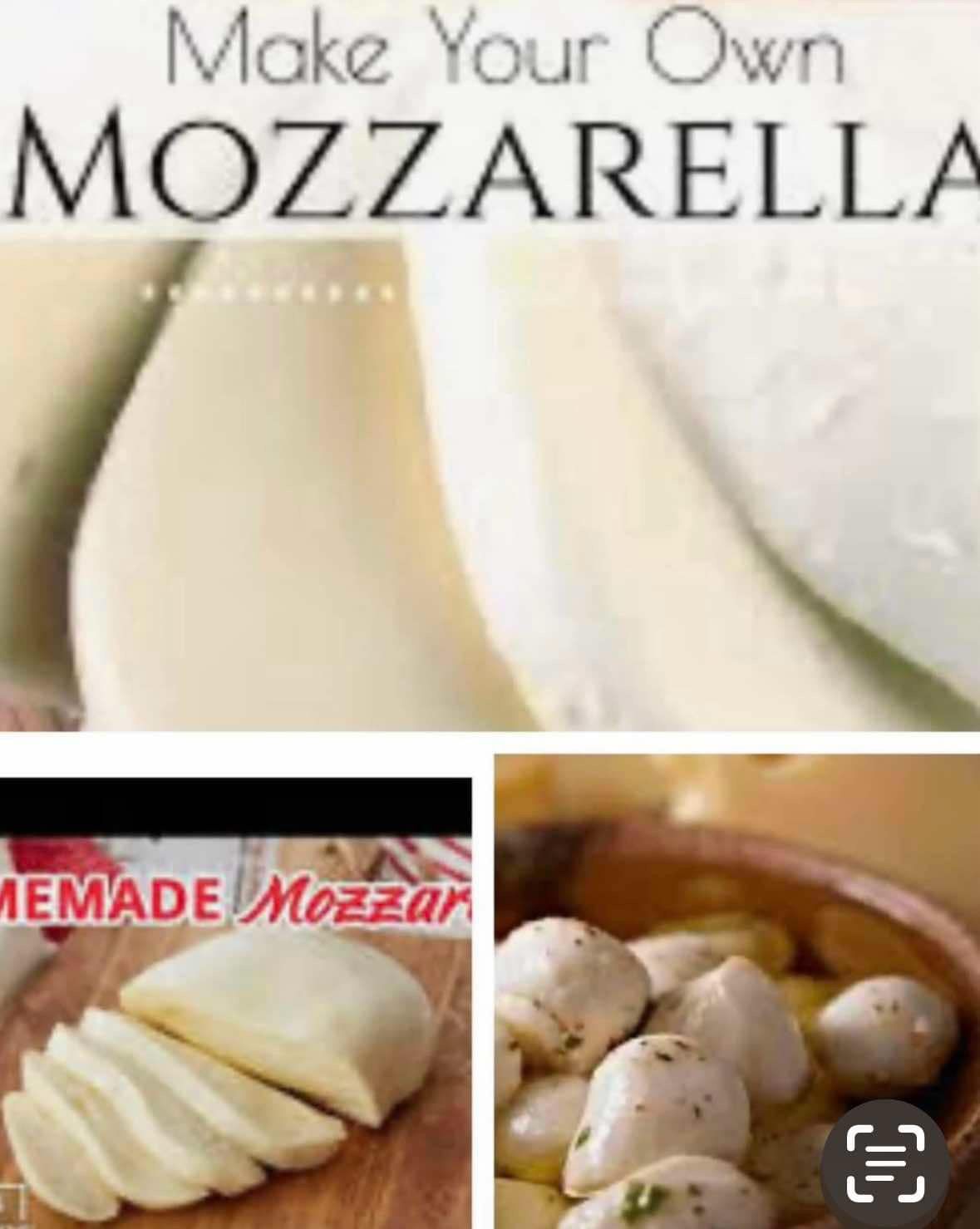 Mozzarella Cooking Class 