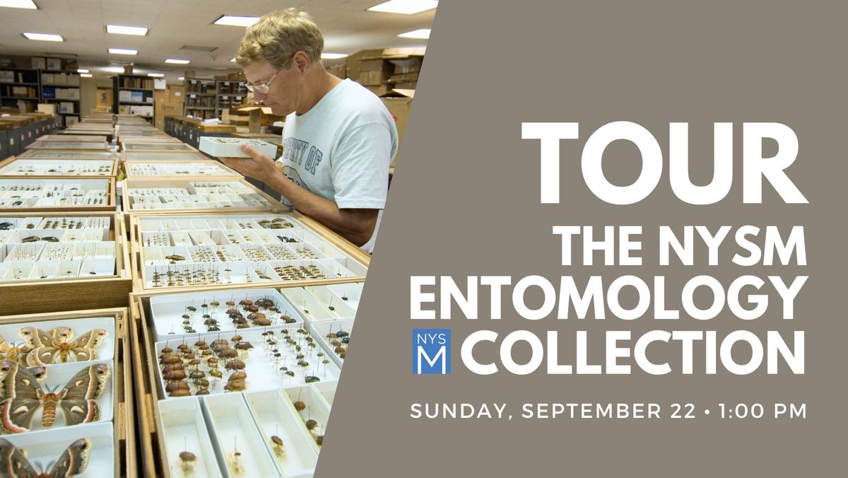 Tour of the New York State Museum Entomology Collection