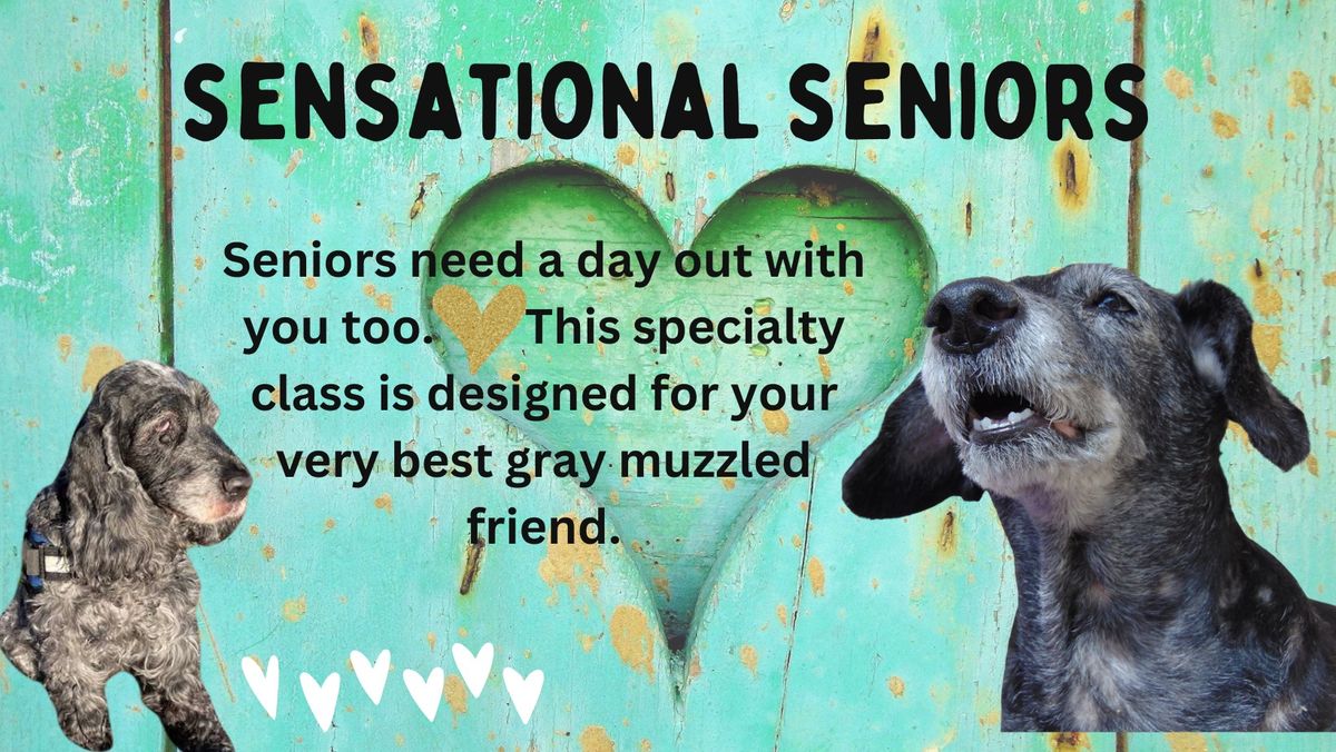 Sensational Seniors - 4 Week Class