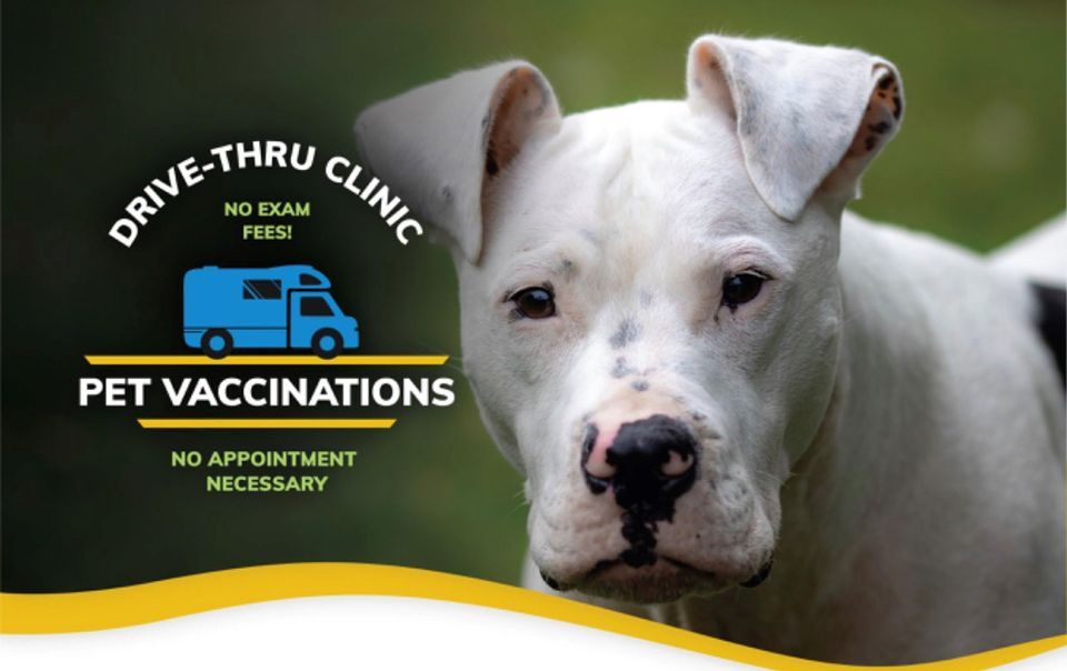 Drive-Thru Vaccination Clinic - Providence YMCA