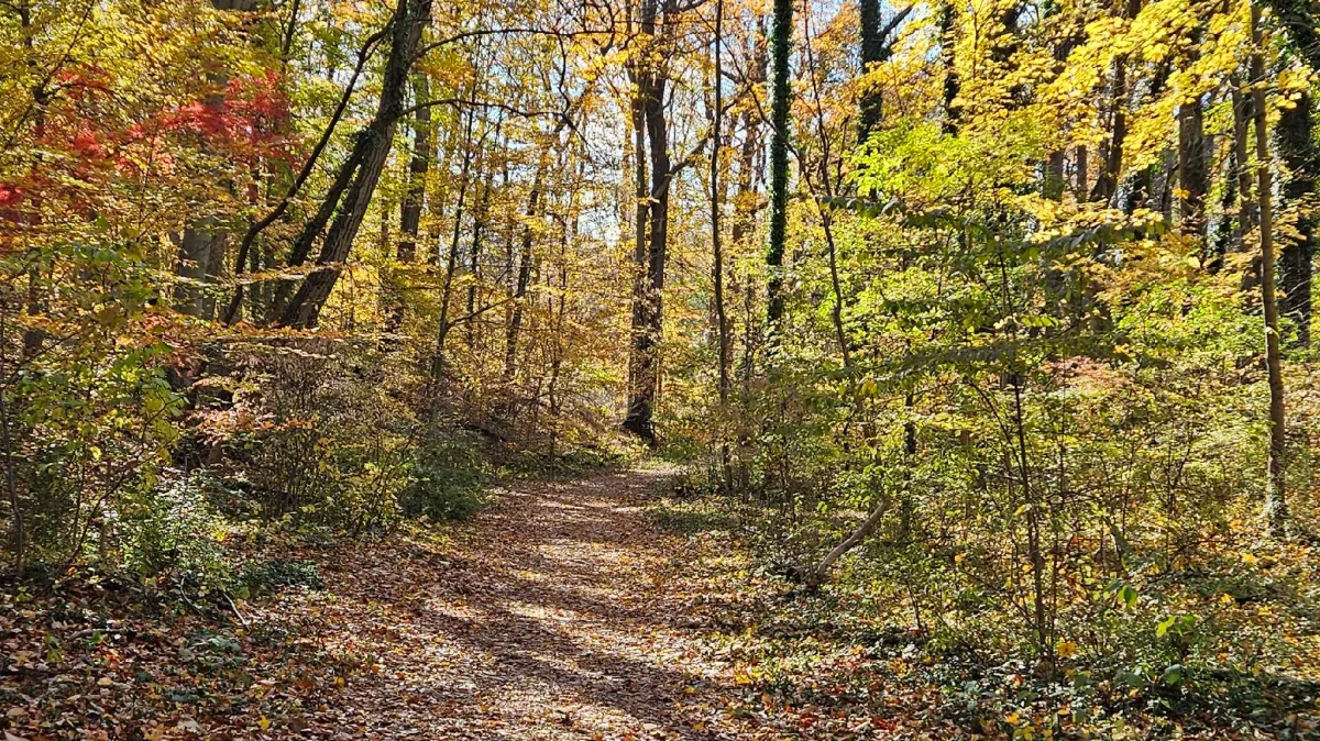 Kick-Off the Hiking Season:  Movin' With the Mueller's