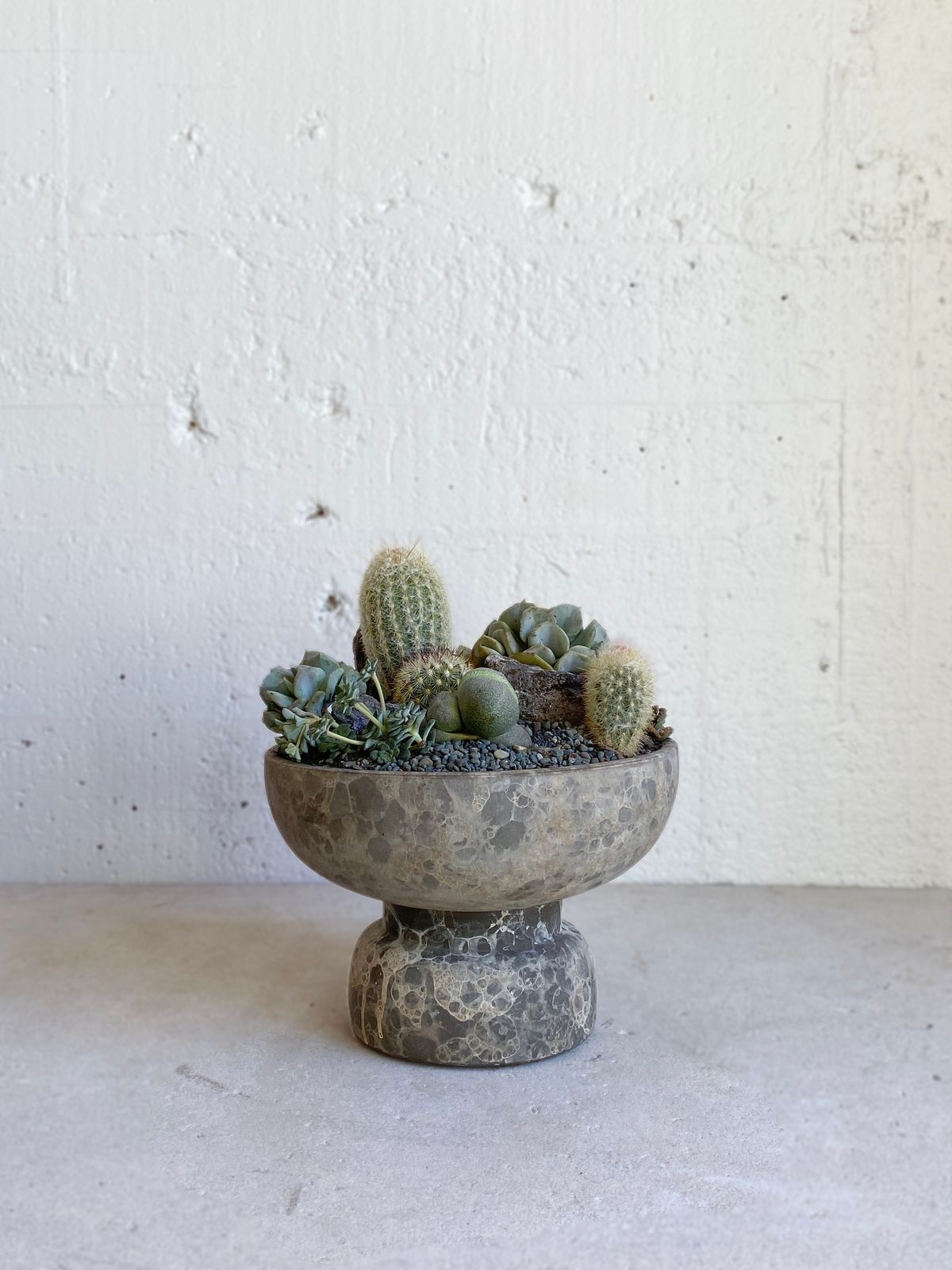 Succulent Bowl Workshop