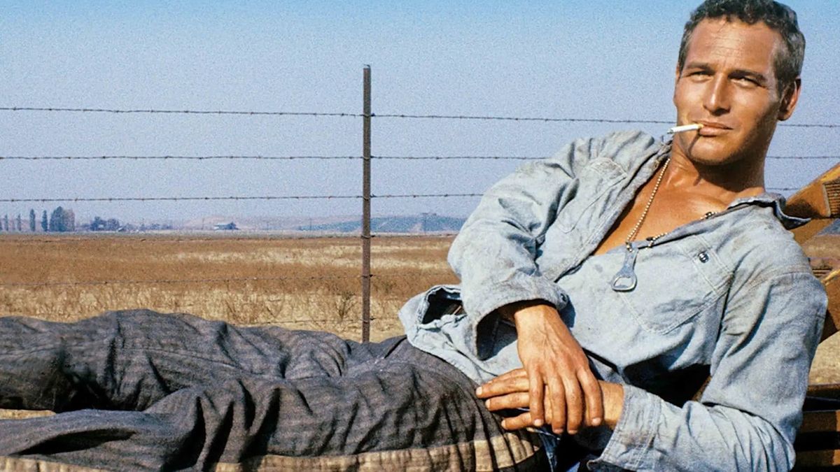 Film Screening - The 1967 Prison Drama "Cool Hand Luke"