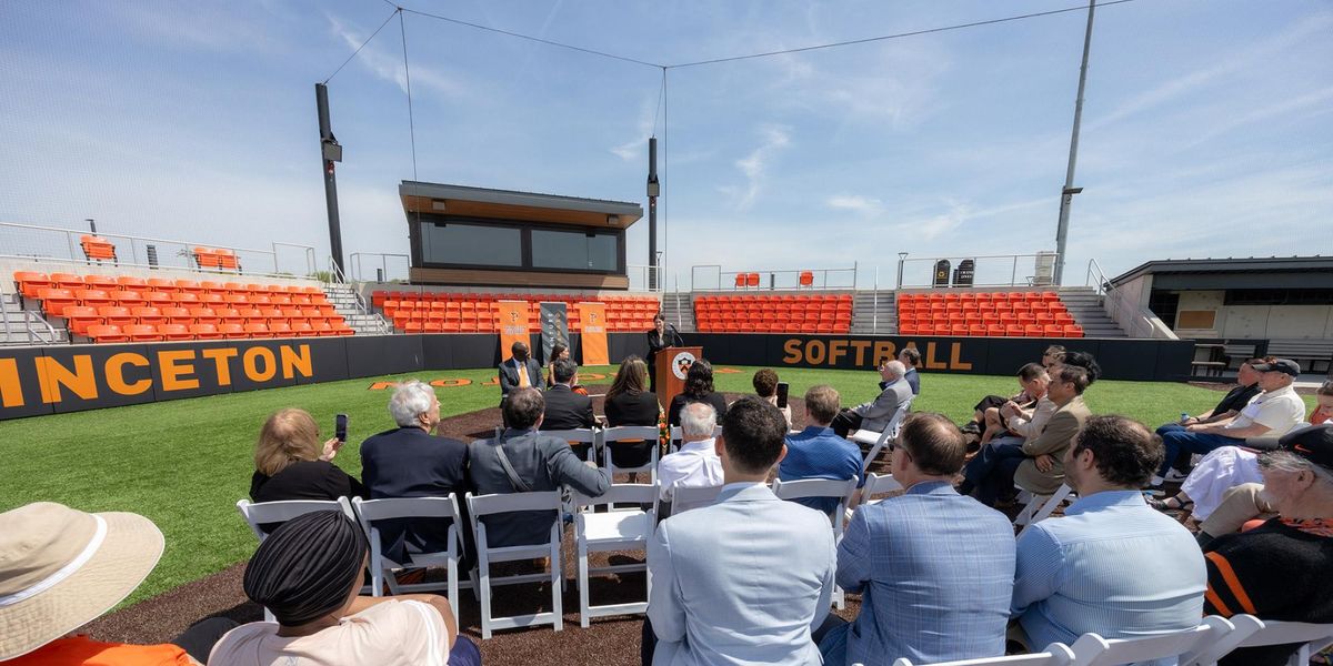 Parking 300 Paintings - Princeton