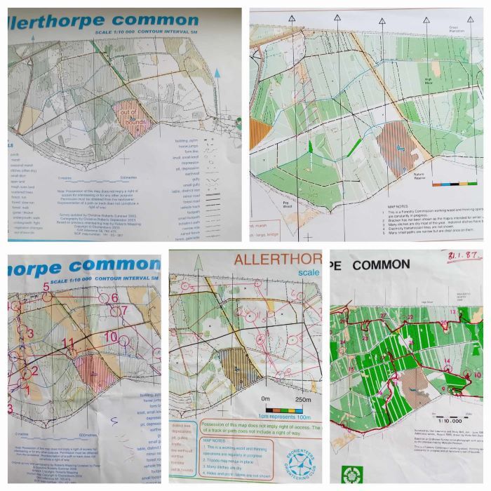 Allerthorpe Common - EBOR Christmas event