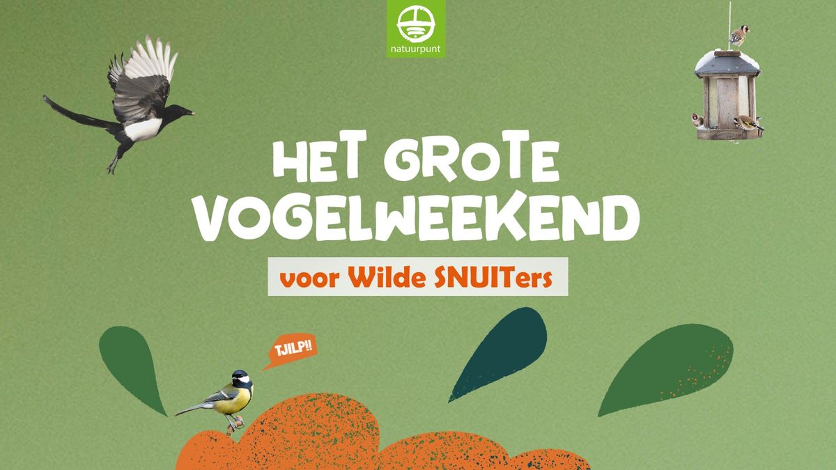 Het Grote Vogelweekend voor Wilde Snuiters!