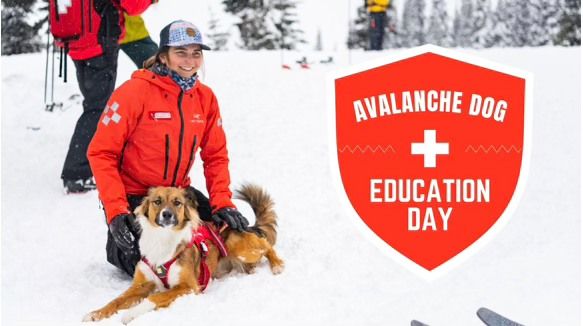 AVALANCHE DOG EDUCATION DAY