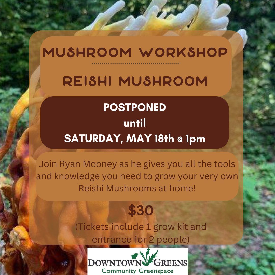 Reishi Mushroom Workshop