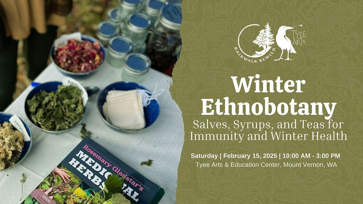 Winter Ethnobotany: Salves, Syrups, and Teas for Immunity and Winter Health