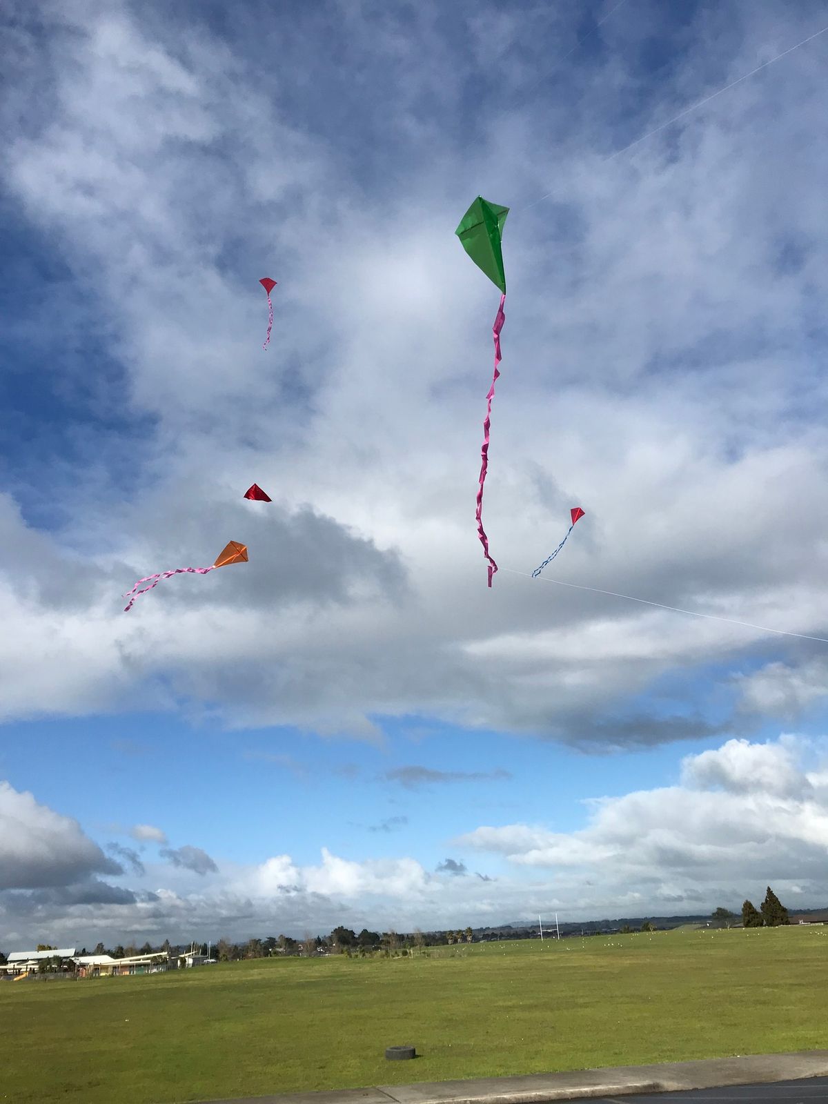 Flying Fun in the Park - Te Atatu Peninsula Park - Tuesday 21st January 