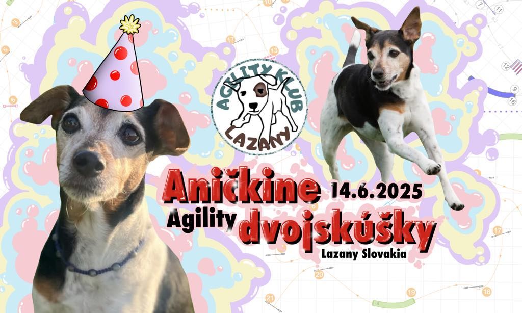 Ani\u010dkine Agility Dvojsk\u00fa\u0161ky