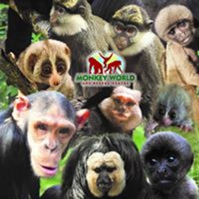 Monkey World - Ape Rescue Centre, Official Facebook Page