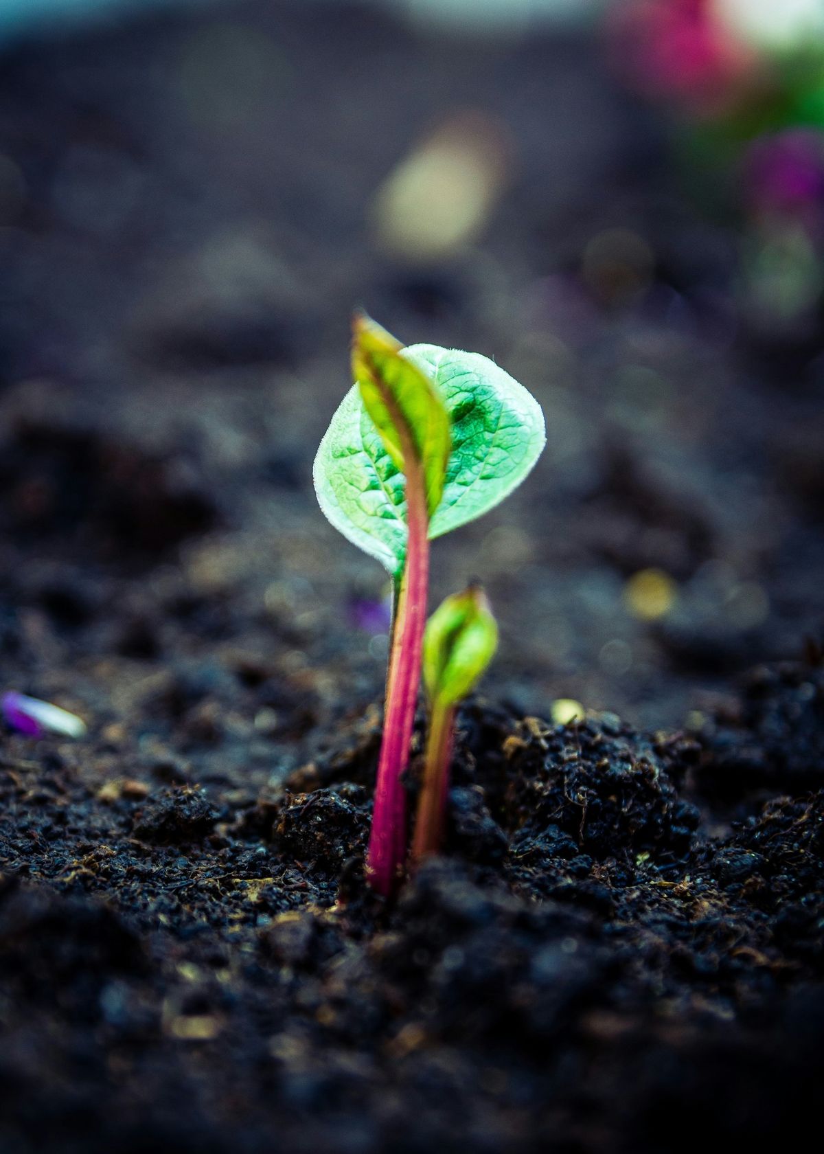 All About Soil - Day-Workshop