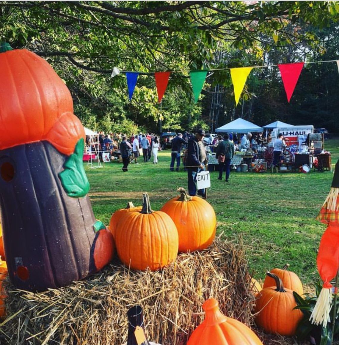 Antique Field Market- Fall Edition