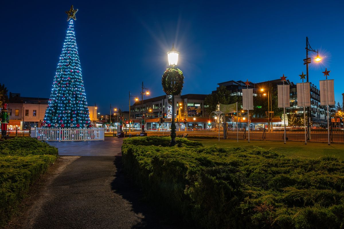 Light up of the Christmas Tree