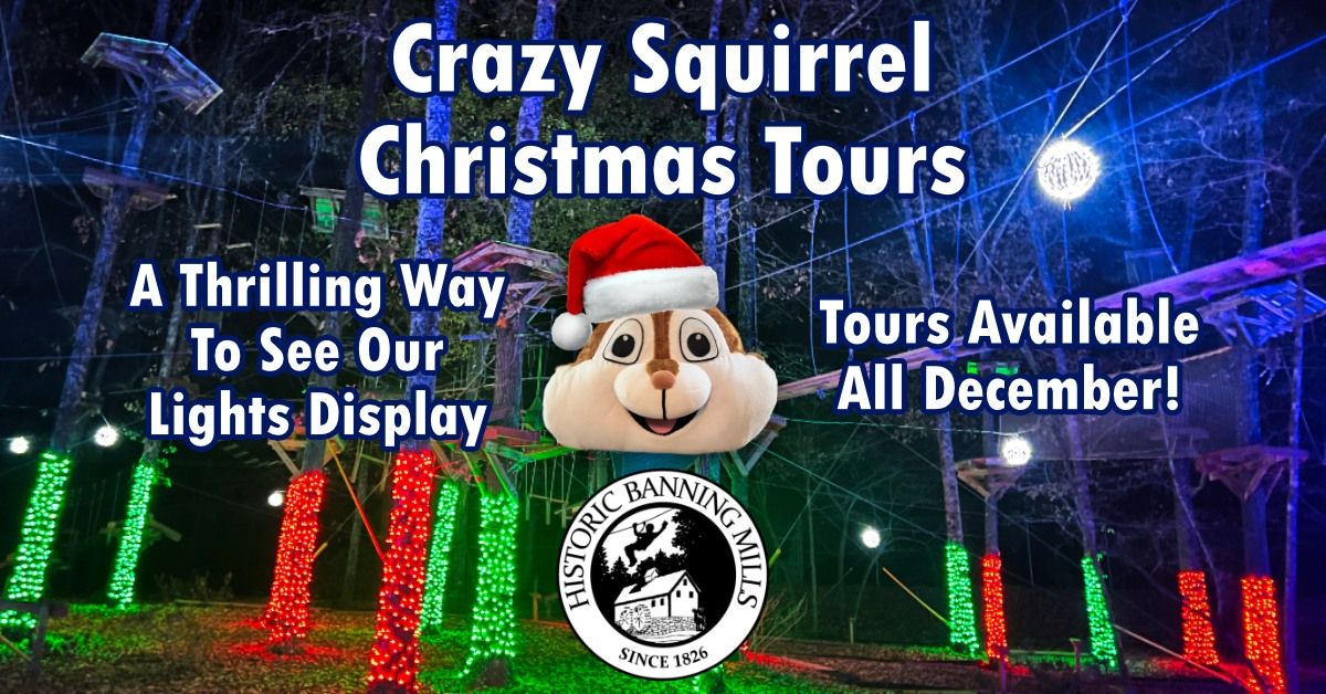 Christmas Tours on the Crazy Squirrel Aerial Course