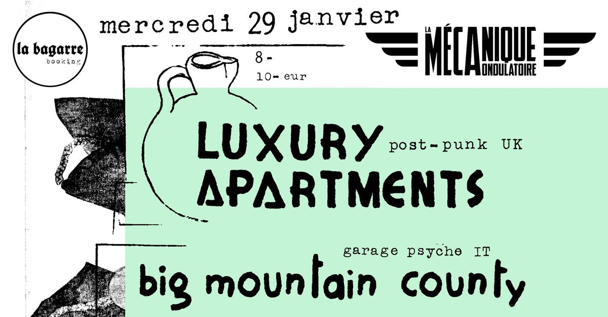 La Bagarre Booking #28 : Luxury apartments (postpunk, UK) & Big Mountain County (garagepsych\u00e9, IT)