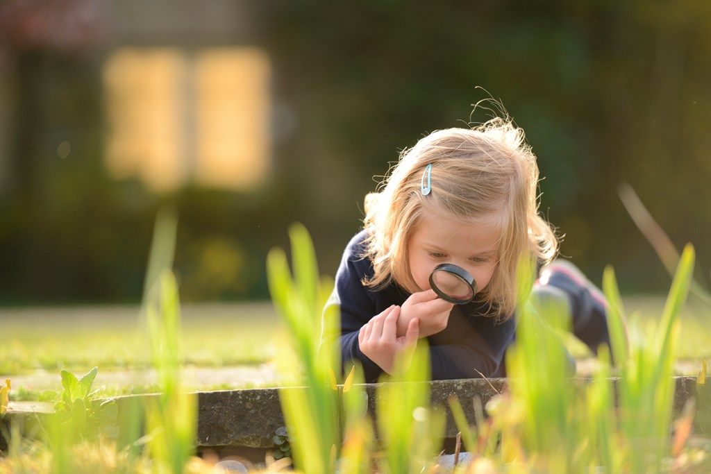 Wildlife Explorers Club (8-12 yrs) \/ Clwb Fforwyr Bywyd Gwyllt (8-12 oed) 