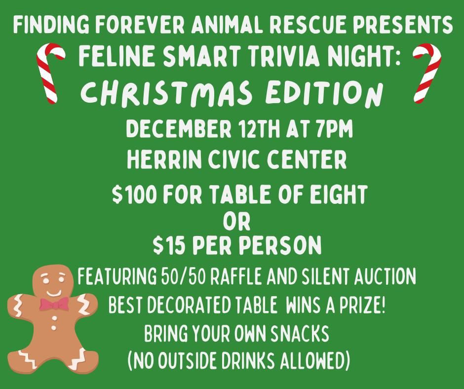 Feline Smart Trivia Night - Christmas Edition