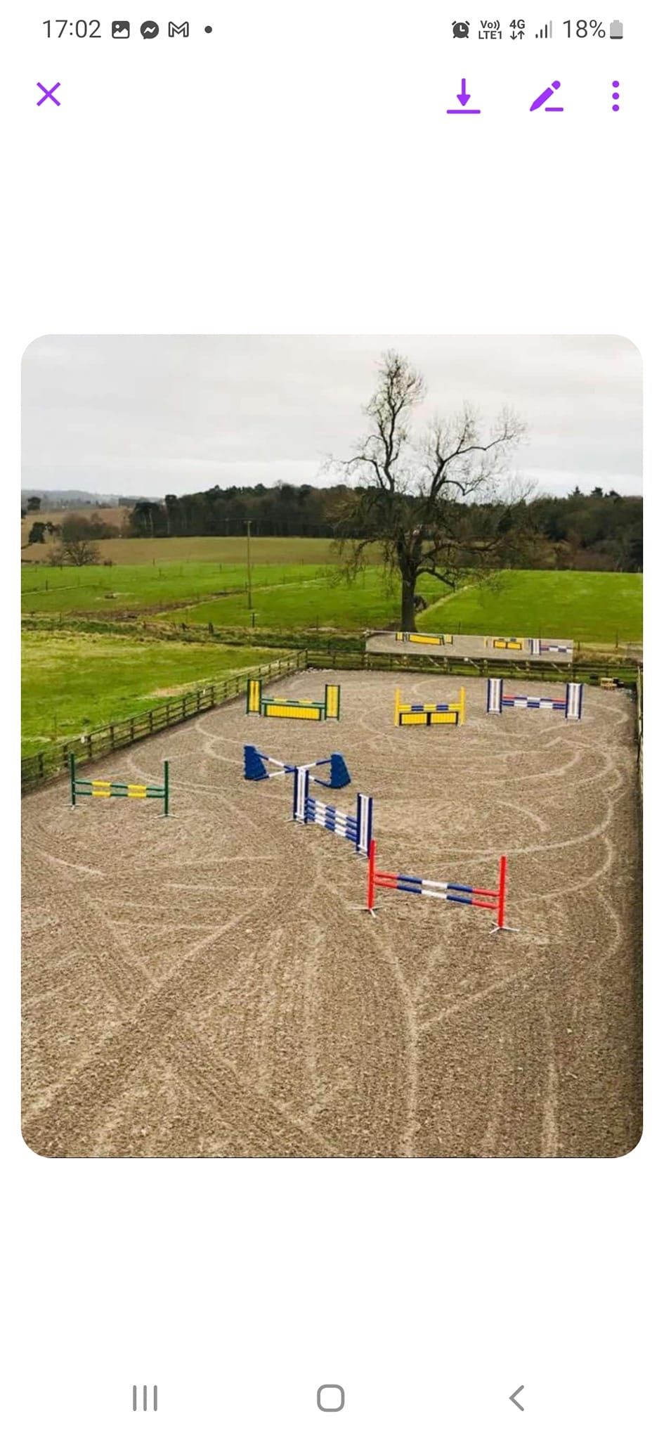 Pole work and Show jumping Clinic at Falcon farm