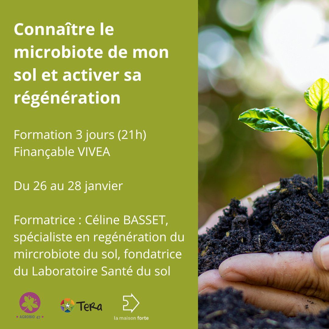 Formation microbiote du sol