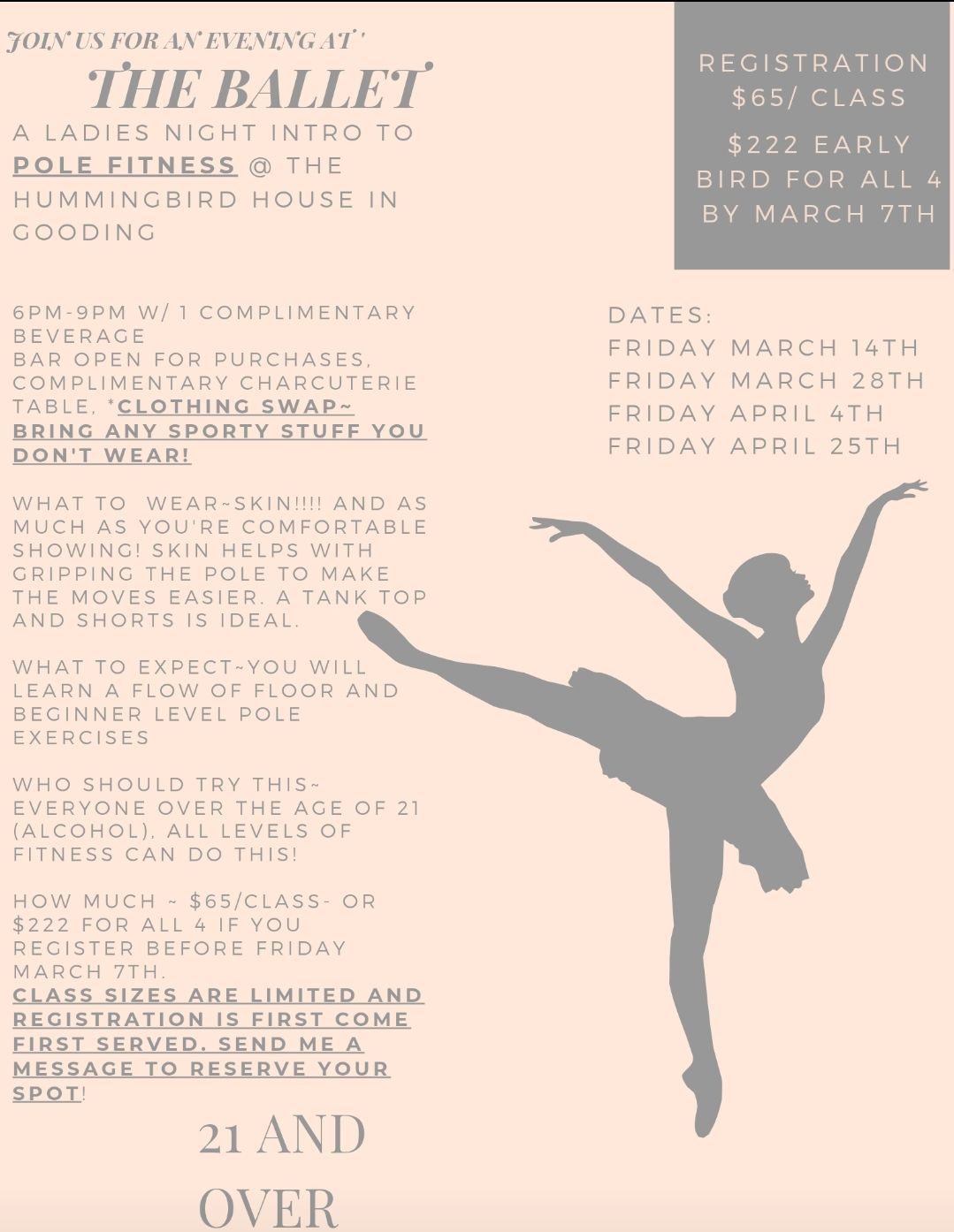 Ladies' Nights at the Ballet, an Intro to Pole Fitness 