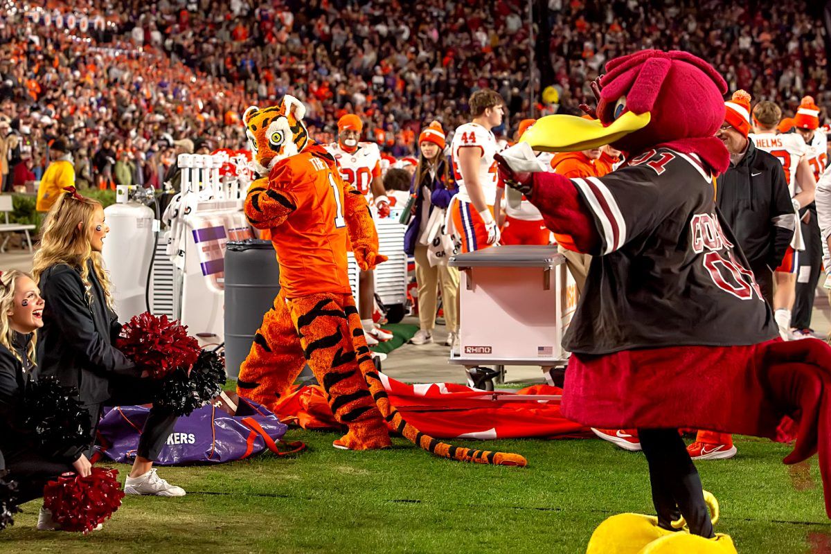 South Carolina Gamecocks at Clemson Tigers Softball