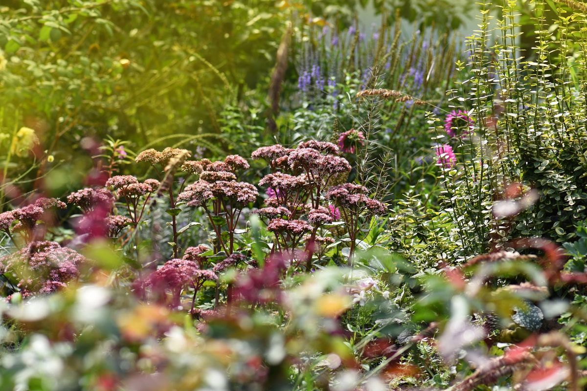 Fall into Gardening at GARDENWORKS Coquitlam