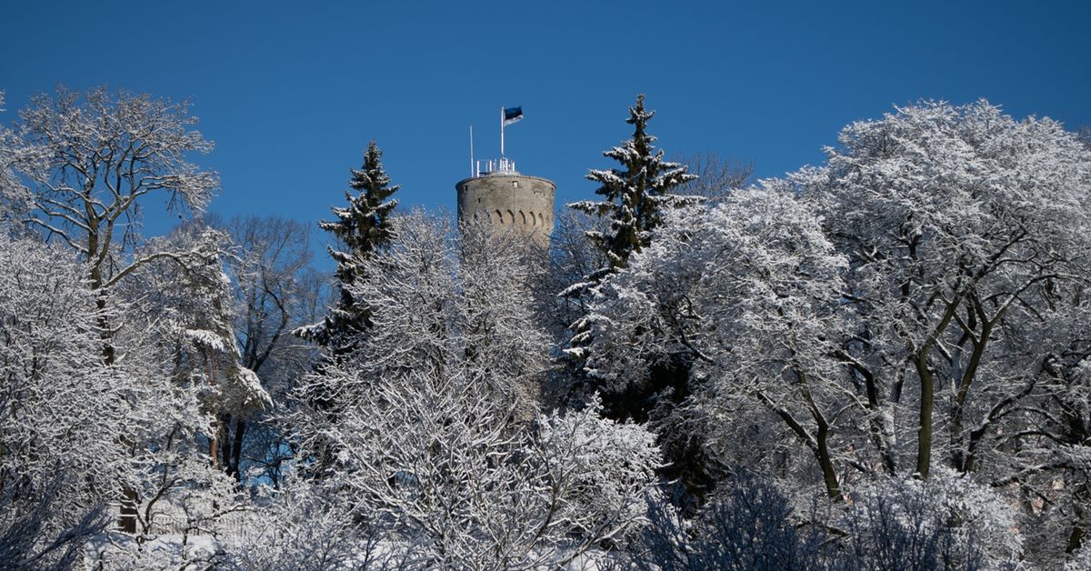 Riigilipu pidulik heiskamine