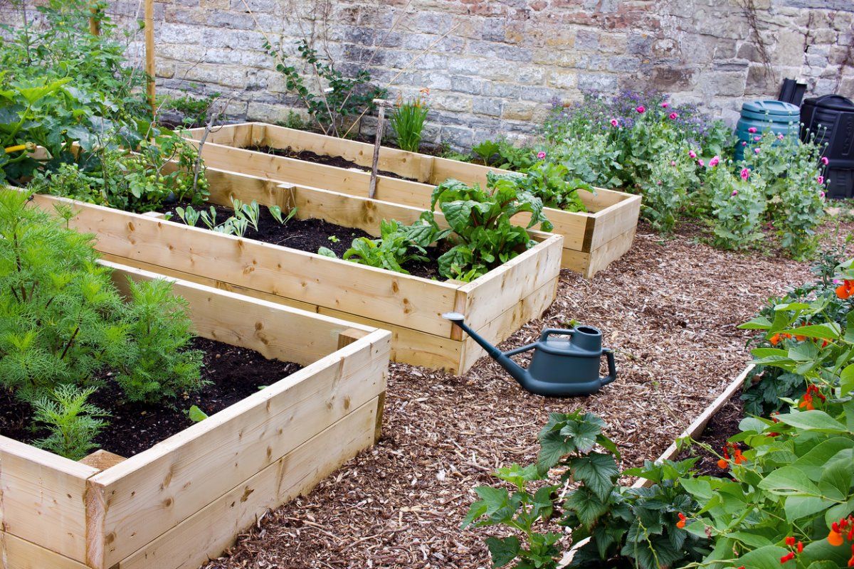 Raised Bed Gardening