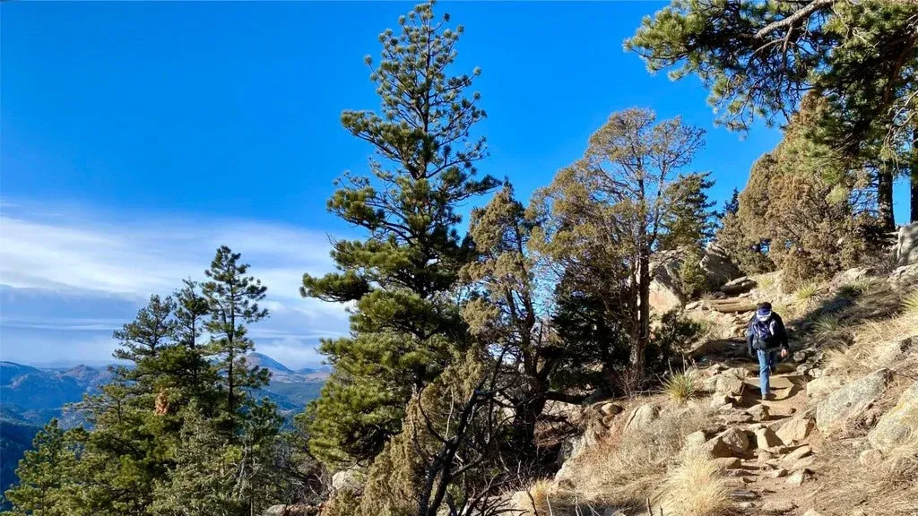 Chapman Drive, Tenderfoot, Range View and Ute trails - 6 miles and 1,160 ft EG