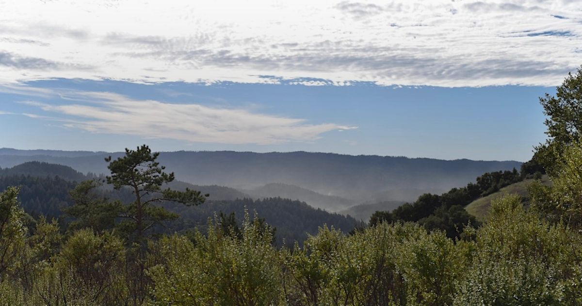 Morning Hike at Skyline Ridge Open Space Preserve