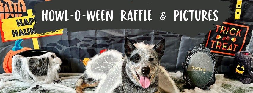 Camp Bow Wow Howl-o-ween Raffle & Pictures 2024