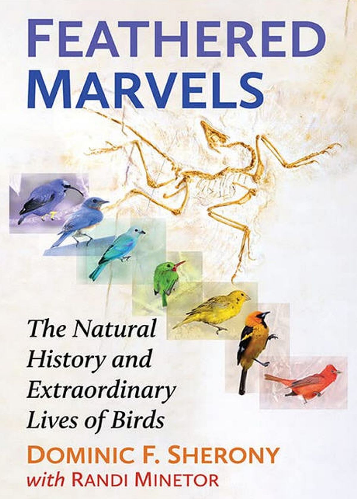 Feathered Marvels: Birds of the Perinton Area discussion & book signing