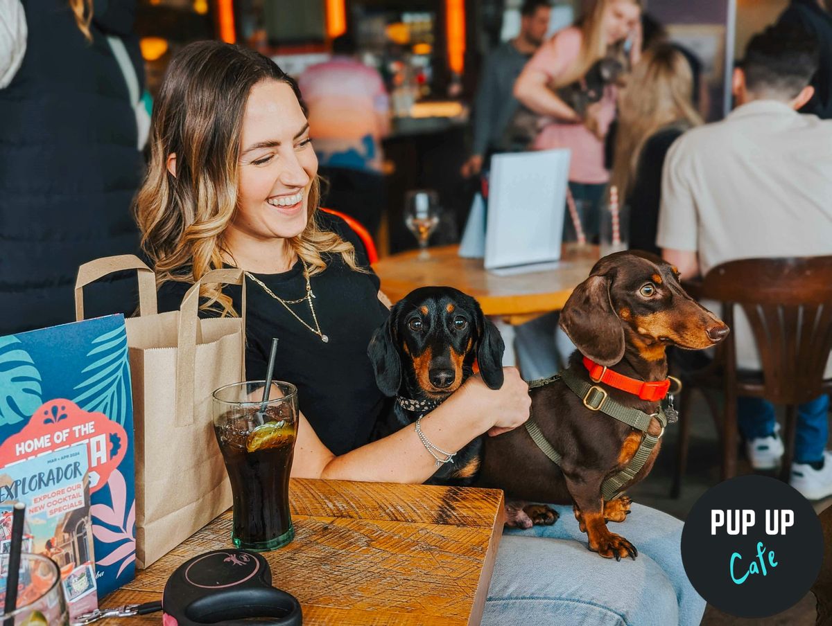  Dachshund Pup Up Cafe - London