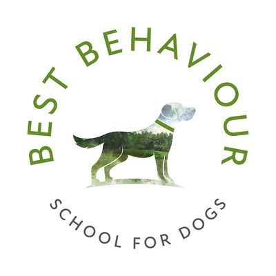 Best Behaviour School for Dogs