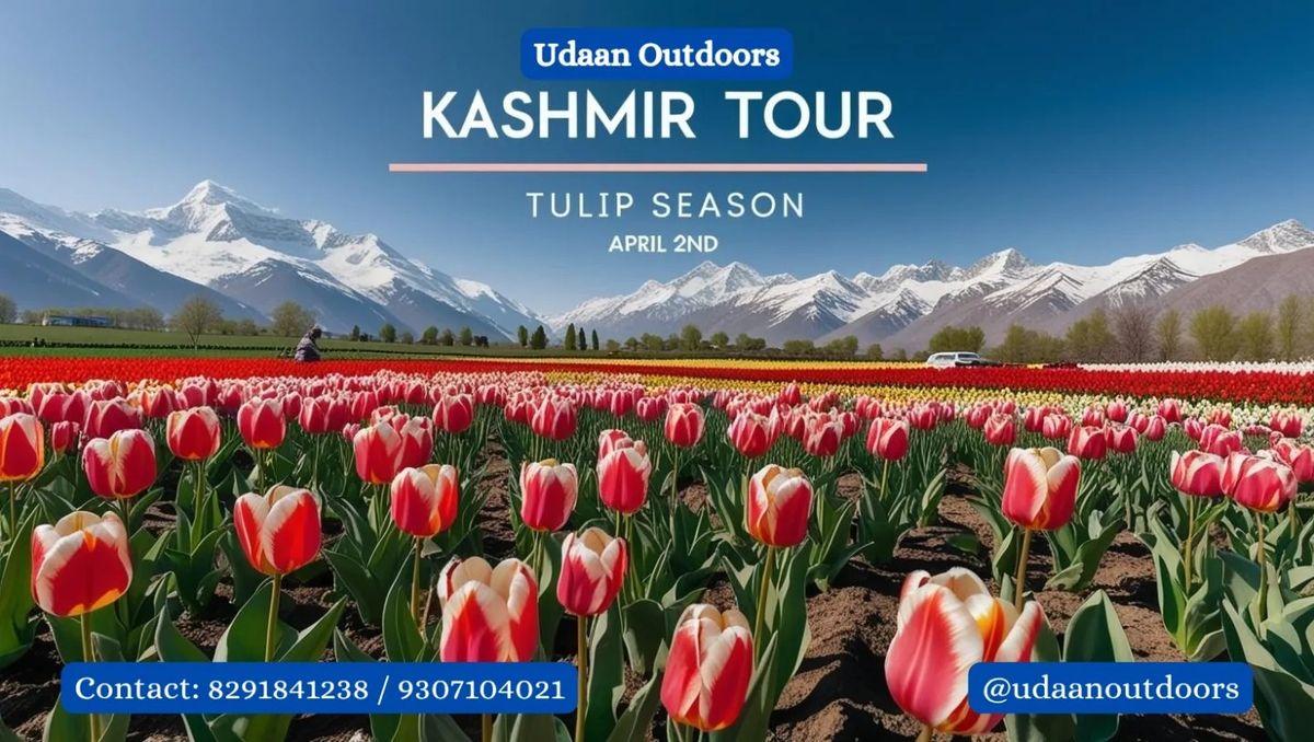 Kashmir Tour : Tulip Season special 