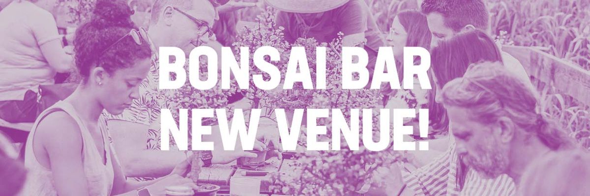 Bonsai Bar @ OSB Ciderworks - Buffalo