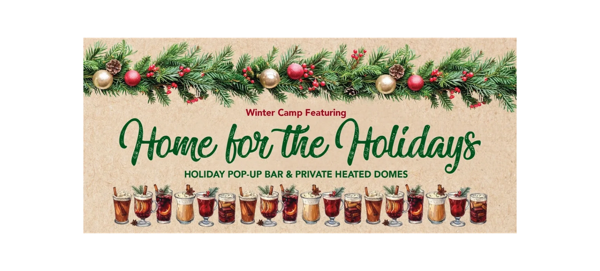 Parking Home For The Holidays